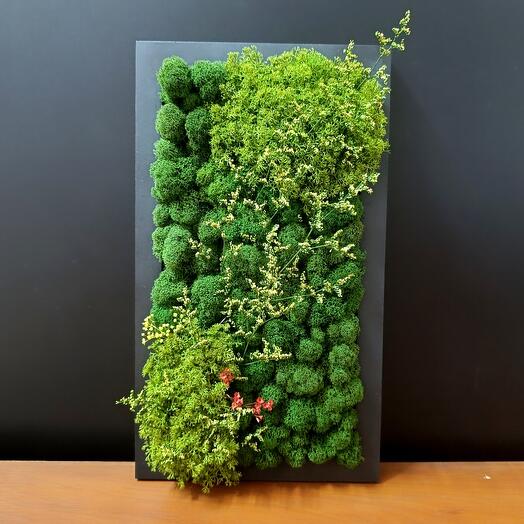 Фитокартина из ягеля, панно на стену