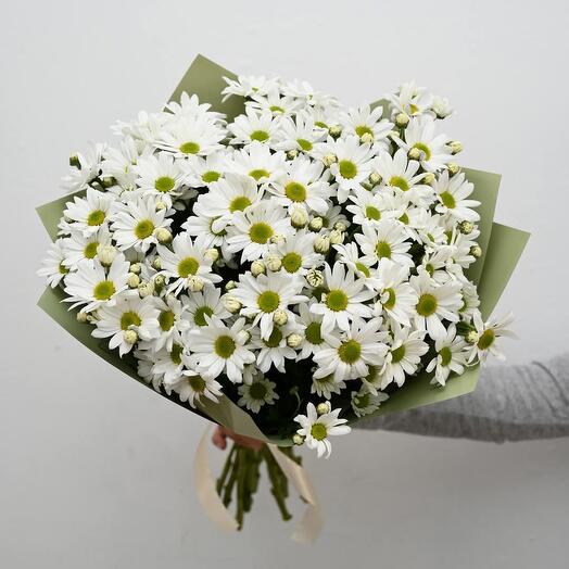 White chrysanthemum