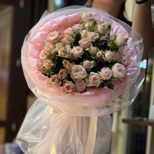 Нежный Мадам бомбастик 🌸