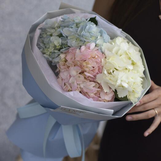 3 гортензии в круглом оформлении