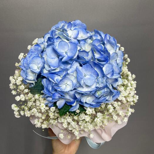 Гортензия на воздушной подушке из Гипсофил в коробке