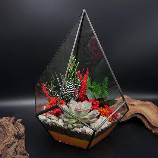 Флорариум с суккулентами "Огненный цветок"