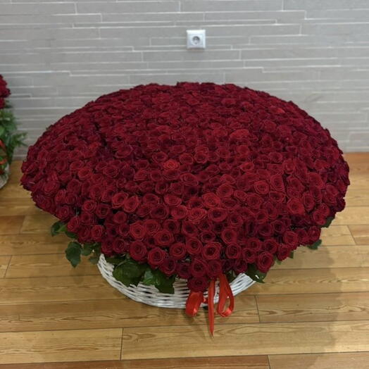 501 красная роза в корзине