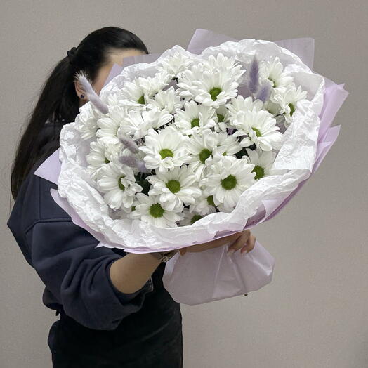 Нежная ромашка🌸