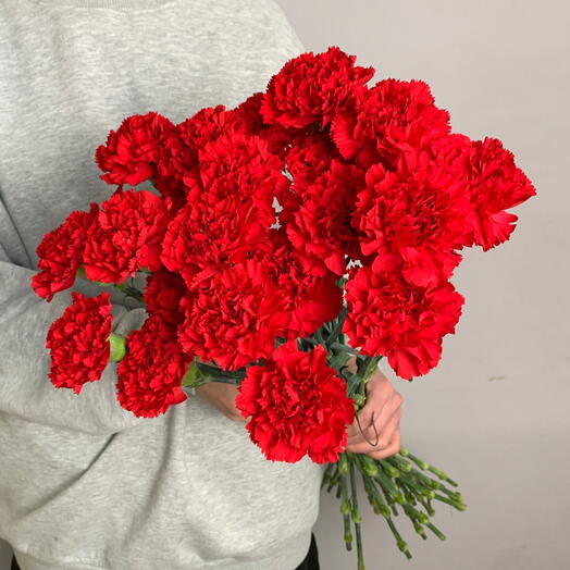Букет из 20 красных гвоздик