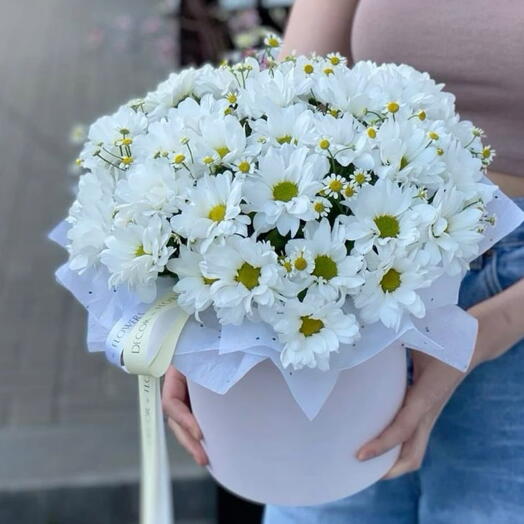 Цветы ромашки в коробке