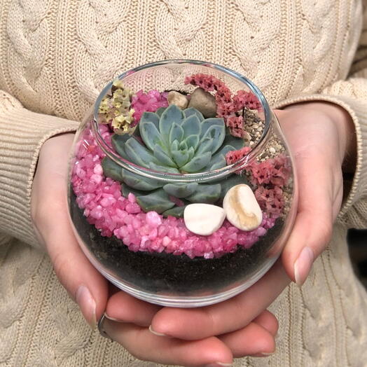 Флорариум супермини пик ми подарок