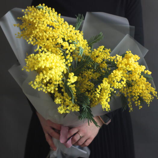 Мимоза в авторской упаковке
