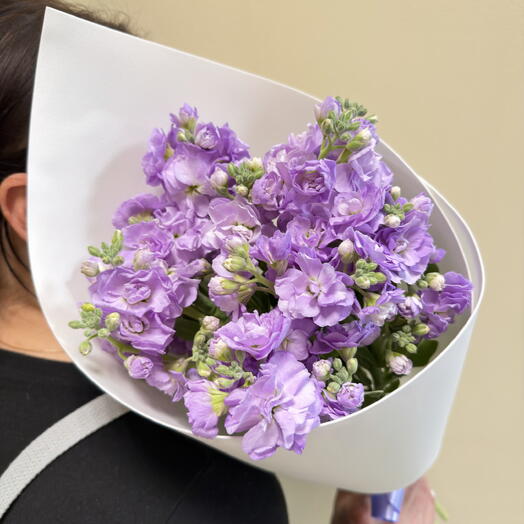 Lavender bush mattiola 5 pieces