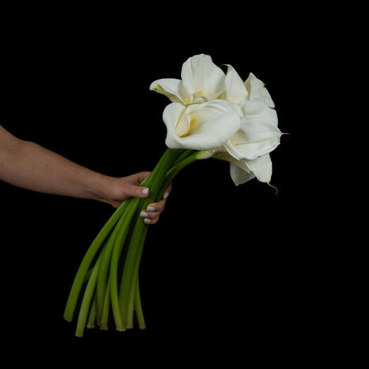 Пачка 10 шт, Каллы белые, 60 см