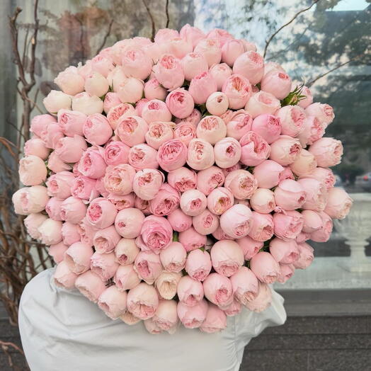 Розы мэнсфилд 💝