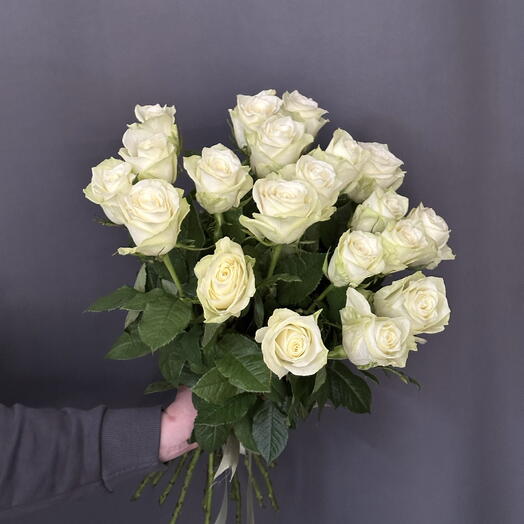 Роза белая 19 шт