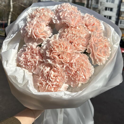 11 нежных Диантусов