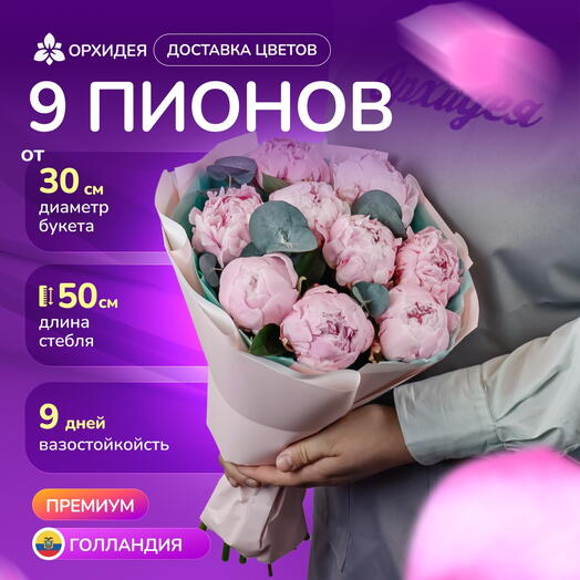 9 Пионов "Сара Бернар"