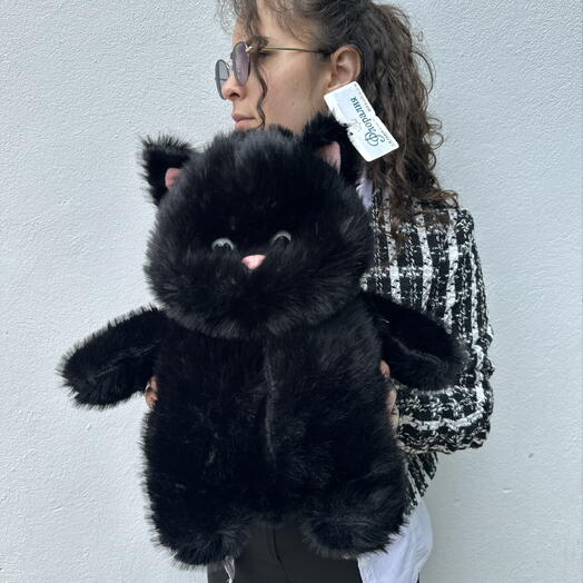 Черный кот