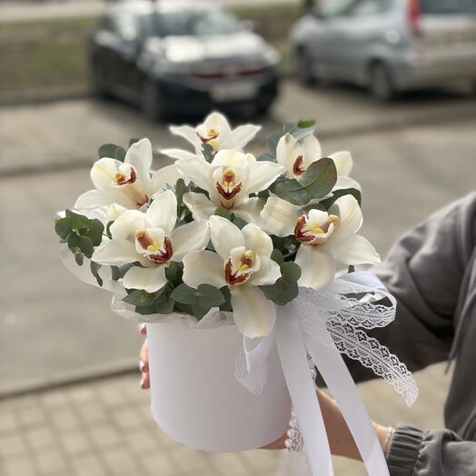 Композиция из стойкого цимбидиума