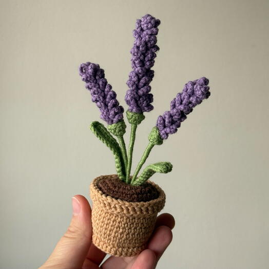 Лаванда в горшке💜