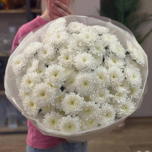 Букет из 13 кустовых хризантем