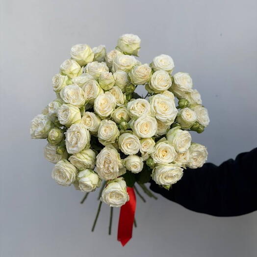 15 мисс бомбастик 50см