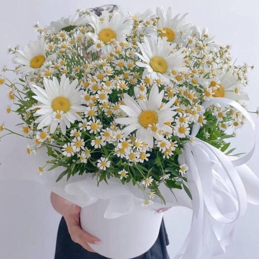Композиция из ромашек