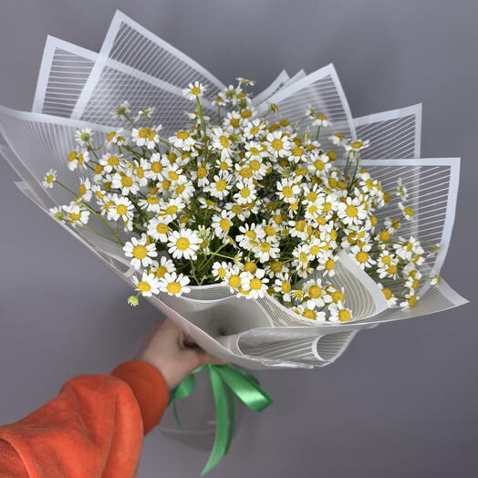 Ромашки букет