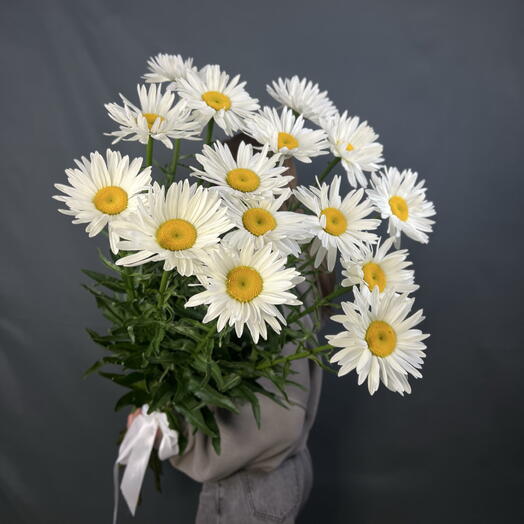 🌼 Ромашка высокая 15 шт под ленту 🌼. Монобукет