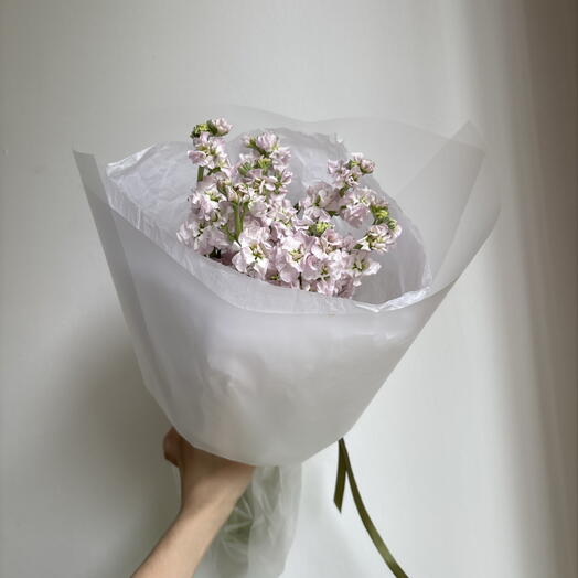 Моно из ароматной маттиолы🌿
