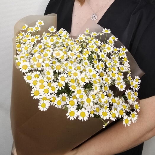 Ромашка 🌼