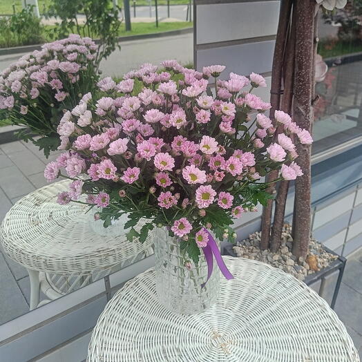 Сиреневые ромашки 💜Хризантемы Ромашка Сантини