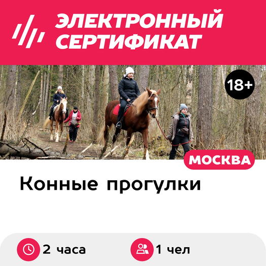 Подарочный сертификат Прогулка на лошади и катание на квадроцикле для 1 человека (2 часа)