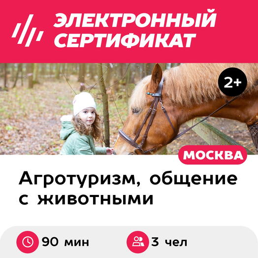 Подарочный сертификат Экскурсия в мир лошадей и мастер-класс для 2 взрослых и 1 ребенка