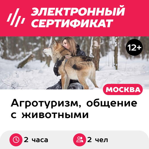 Подарочный сертификат Прогулка с волком по лесу для 2 чел. в составе группы (2 часа)