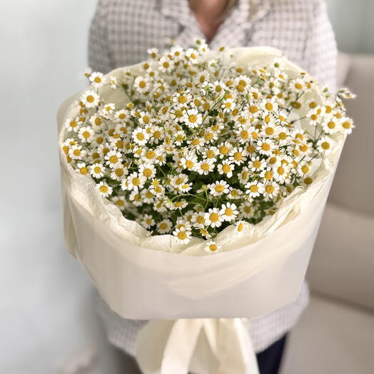 9🤍КУСТОВЫХ РОМАШЕК