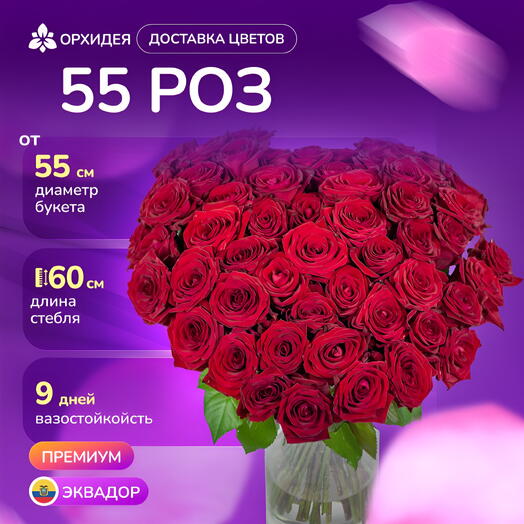 Букет Сердце 55 роз "Фридом"