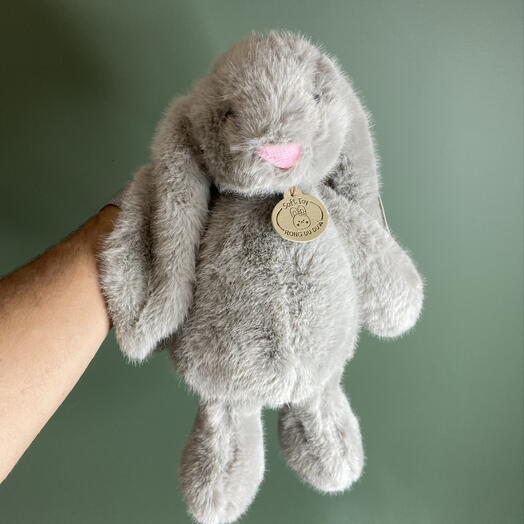 Зайка 011615