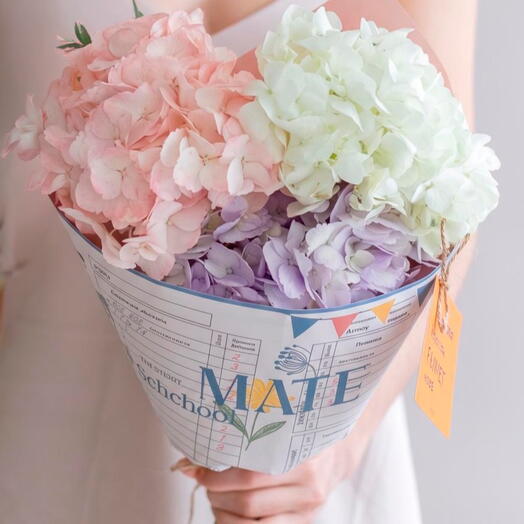 Букет гортензий на День знаний 1 сентября MF1007