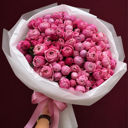Silva Pink