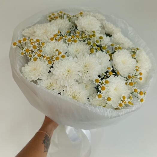 Ромашки/хризантема кустовая/матрикария/цветывуфе