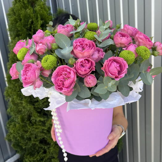Мисти и пуговка 🌹