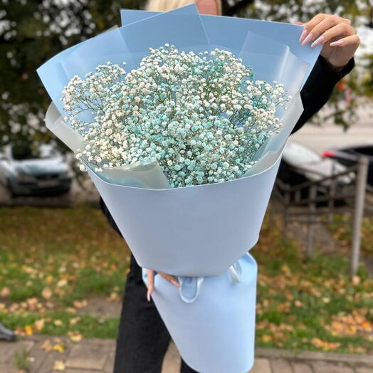 Голубые гипсофилы 🩵