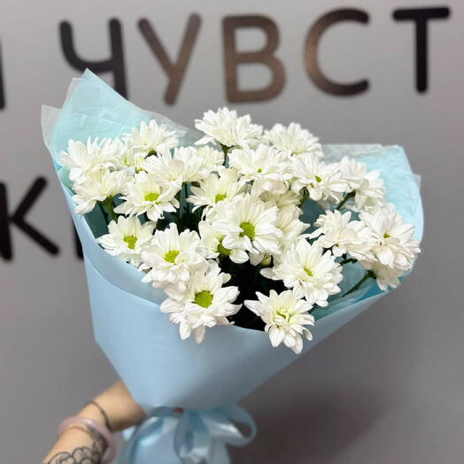 Ромашка🌼