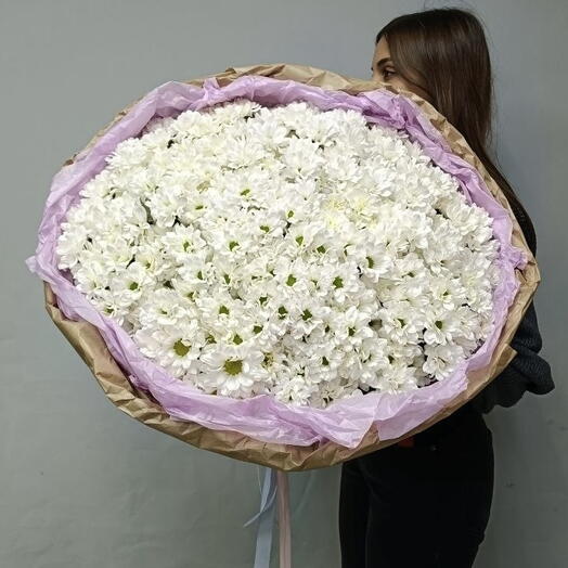 Букет из 33 кустовых хризантем Бакарди