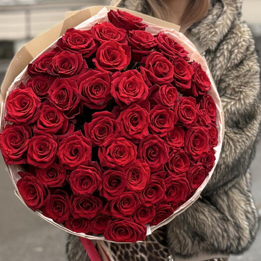 51 красная эквадорская роза 🌹