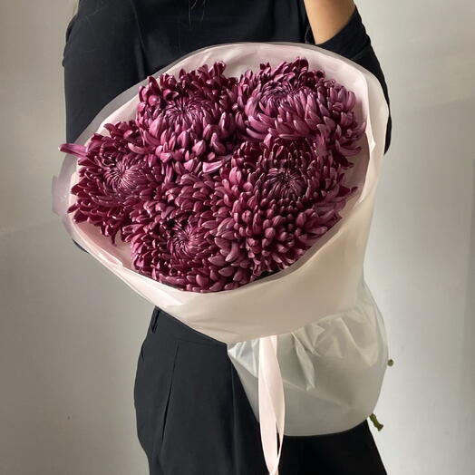 Монобукет Хризантема «Бигуди purple»