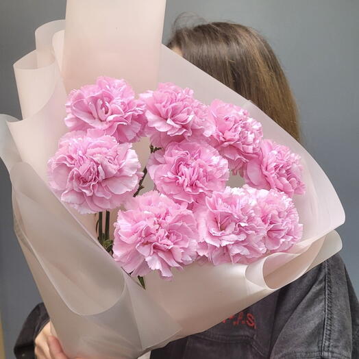 Нежные диантусы 🌸🩷