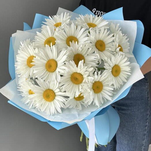 Ромашки
