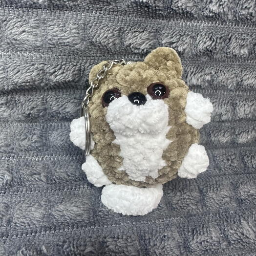 Кот Шоколадка