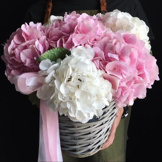 Cesta de hortensias