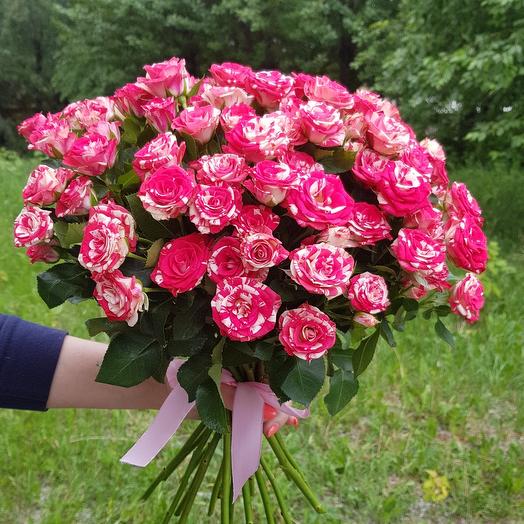 Mononoke of pink spray Roses