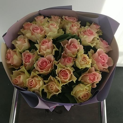 Gentle rose
